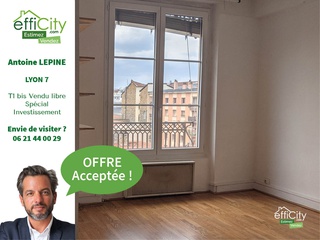 appartement 1 pièces - 27m2 à Lyon (69007)