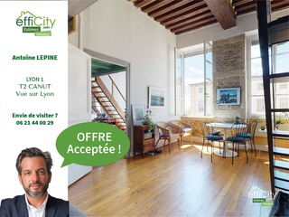 appartement 2 pièces - 55m2 à Lyon (69001)