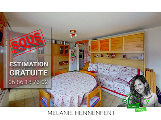 appartement 3 pièces - 44m2 à Praz-sur-Arly (74120)