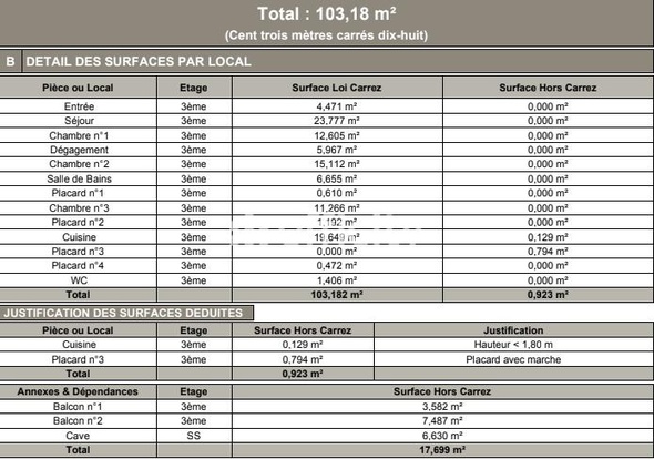 Achat immobilier Appartement 6 pièces  105m2 à Joué-lès-Tours (37300) - Photo n°10