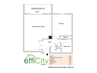 appartement 2 pièces - 43m2 à Vaulx-en-Velin (69120)