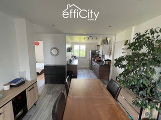 appartement 3 pièces - 52m2 à Vaulx-en-Velin (69120)