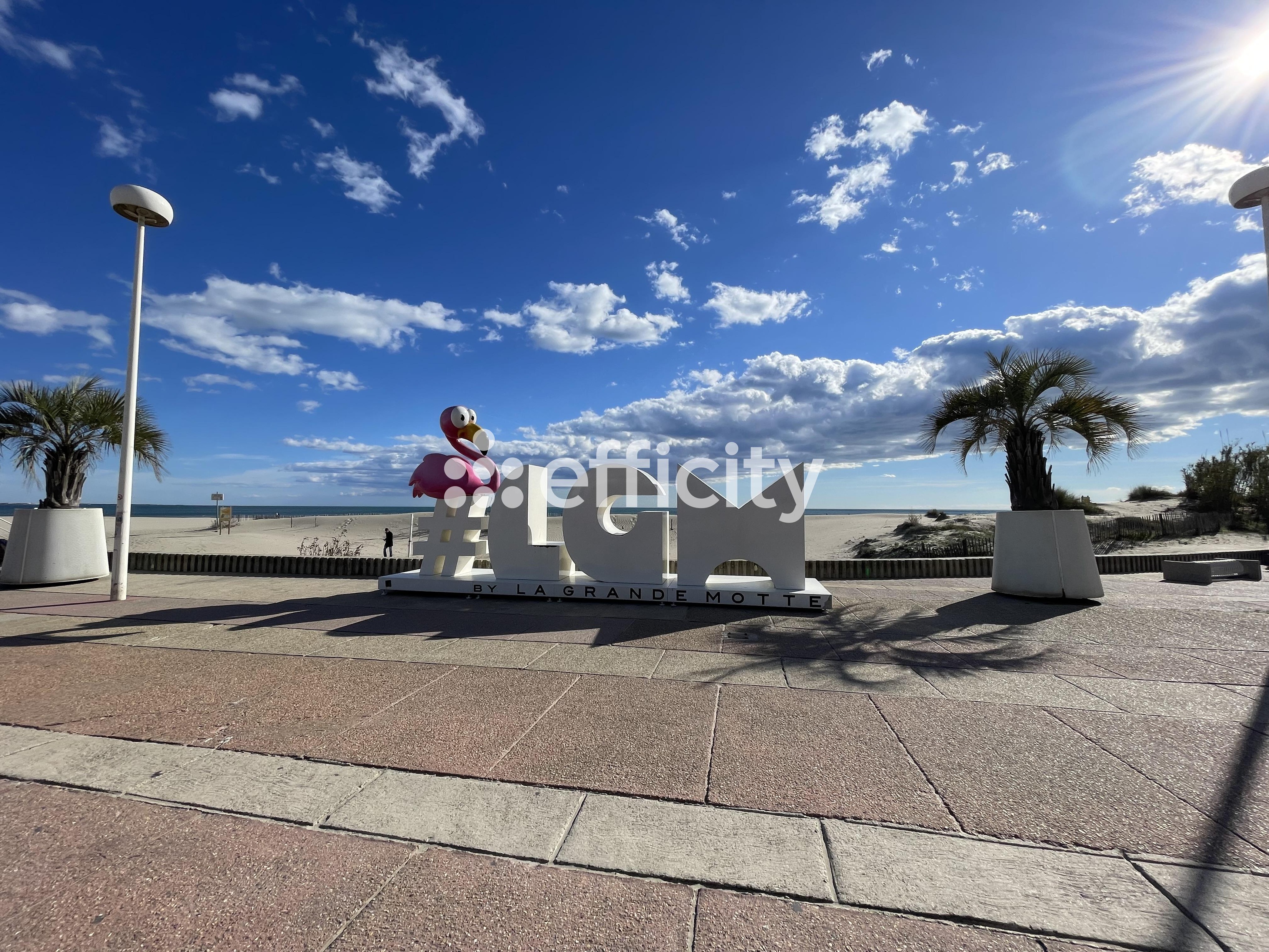 Achat immobilier Appartement 3 pièces  67m2 à La Grande-Motte (34280) - Photo n°12