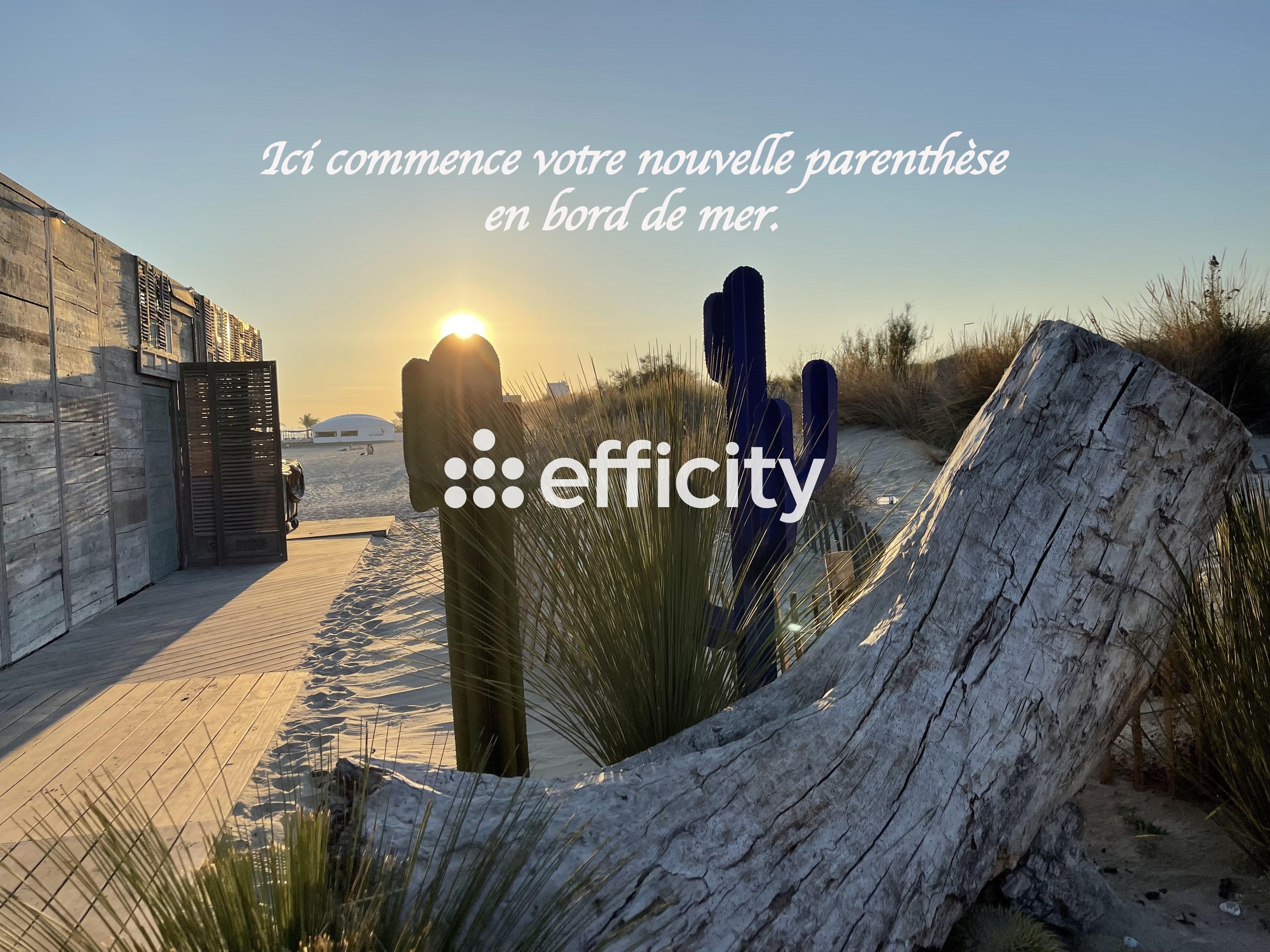 appartement 3 pièces - 67m2 à La Grande-Motte (34280)