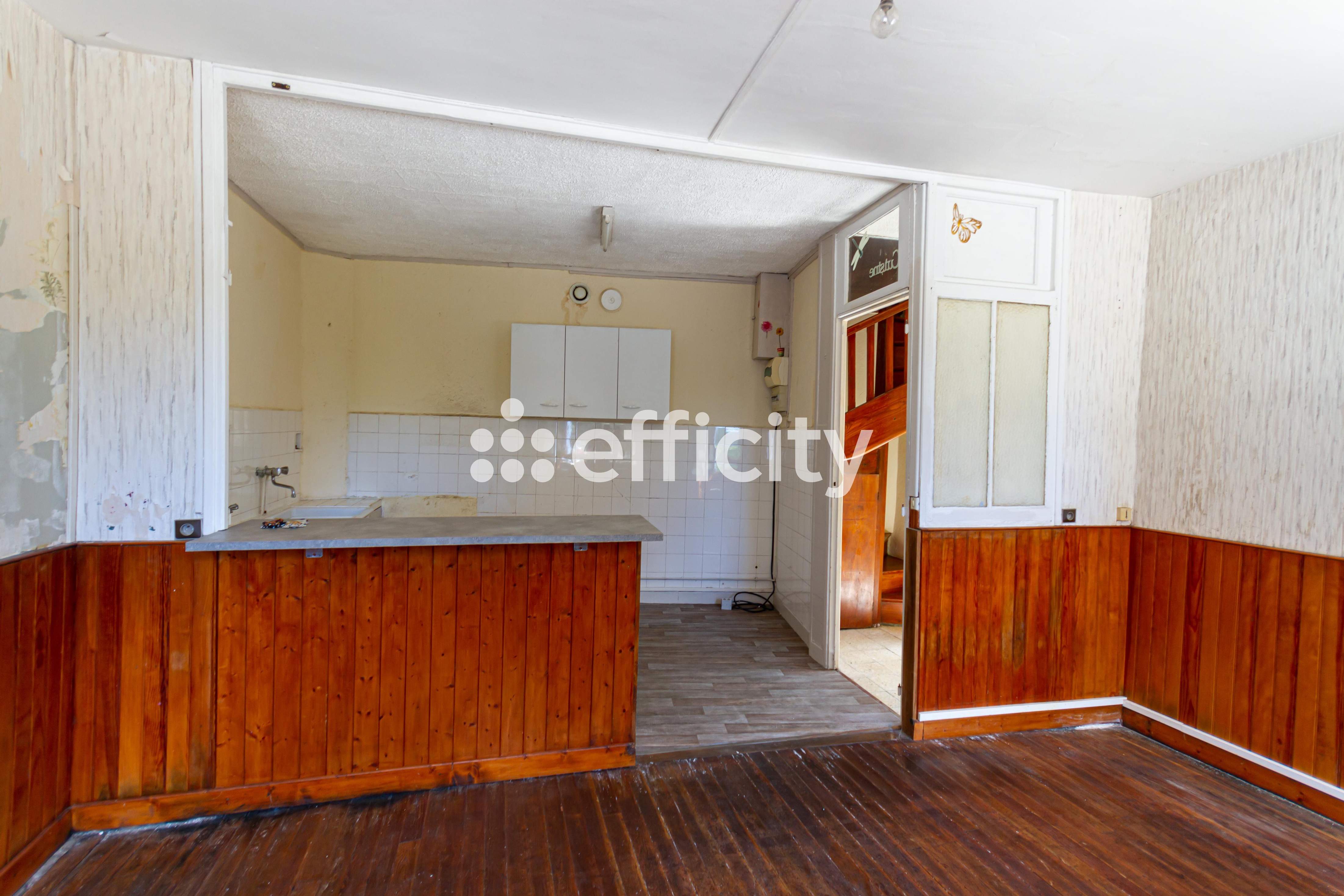 Achat immobilier Maison 4 pièces  65m2 à Saint-Firmin (05800) - Photo n°4
