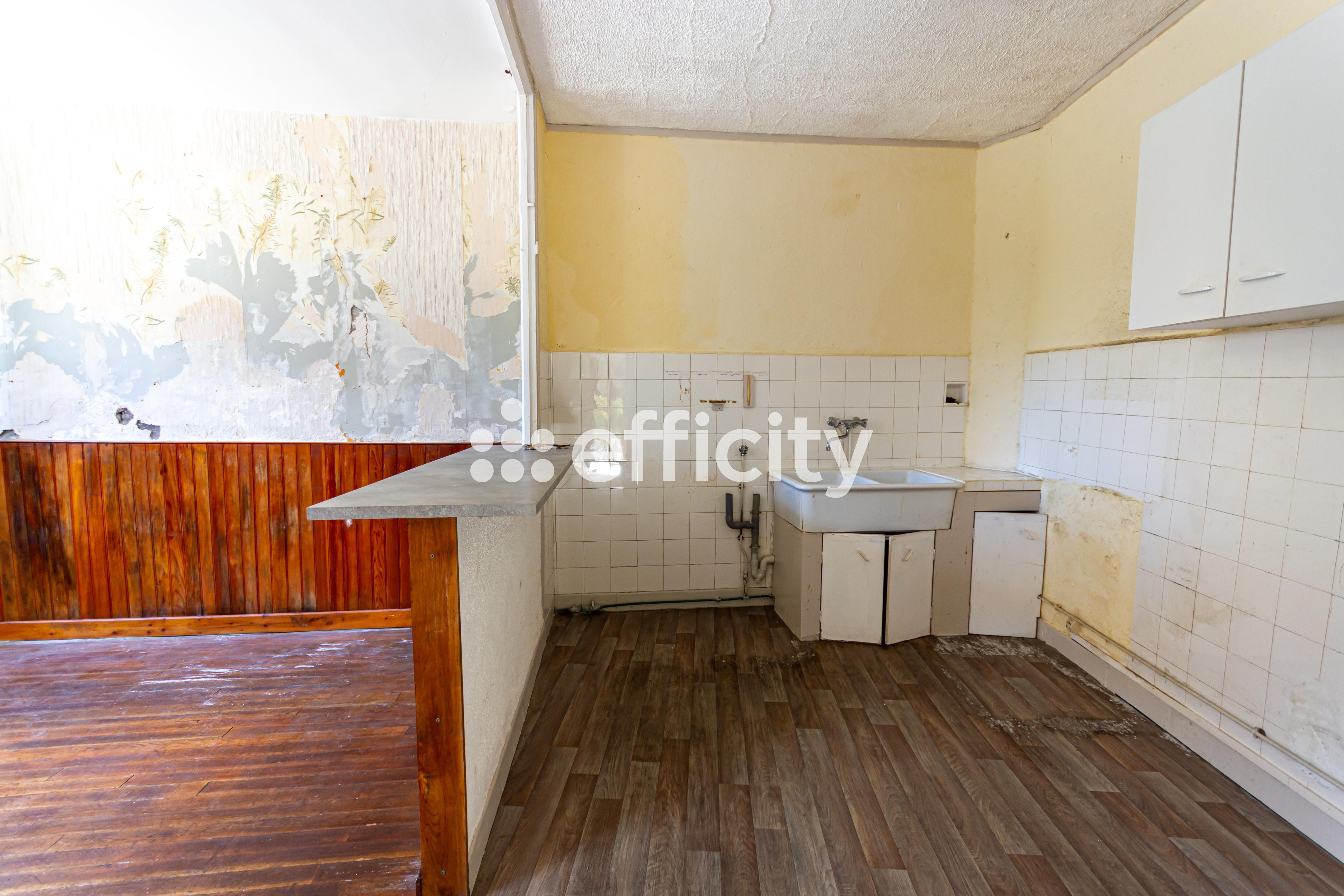 Achat immobilier Maison 4 pièces  65m2 à Saint-Firmin (05800) - Photo n°5