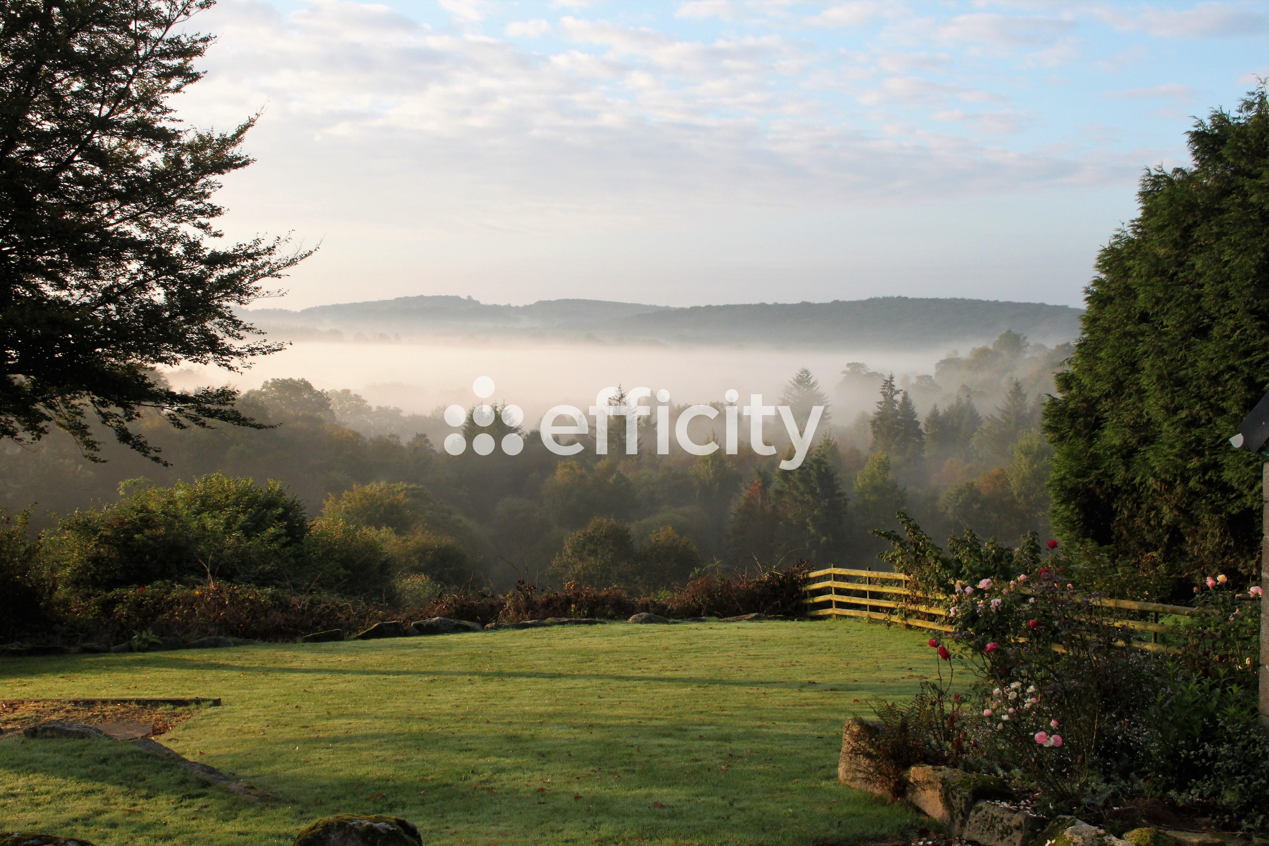 Achat immobilier Maison 11 pièces  290m2 à Noues de Sienne (14380) - Photo n°51