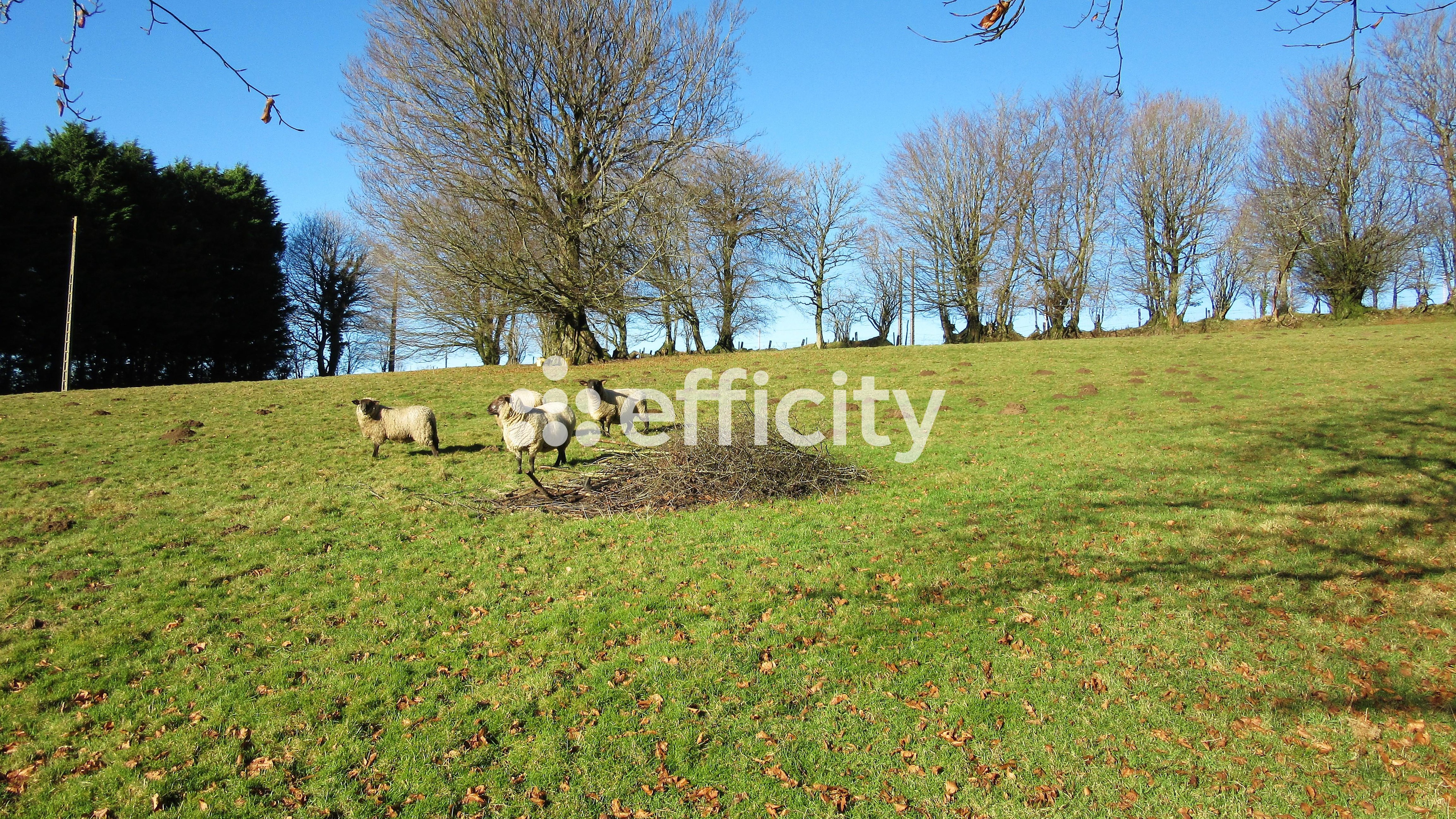 Achat immobilier Maison 11 pièces  290m2 à Noues de Sienne (14380) - Photo n°54