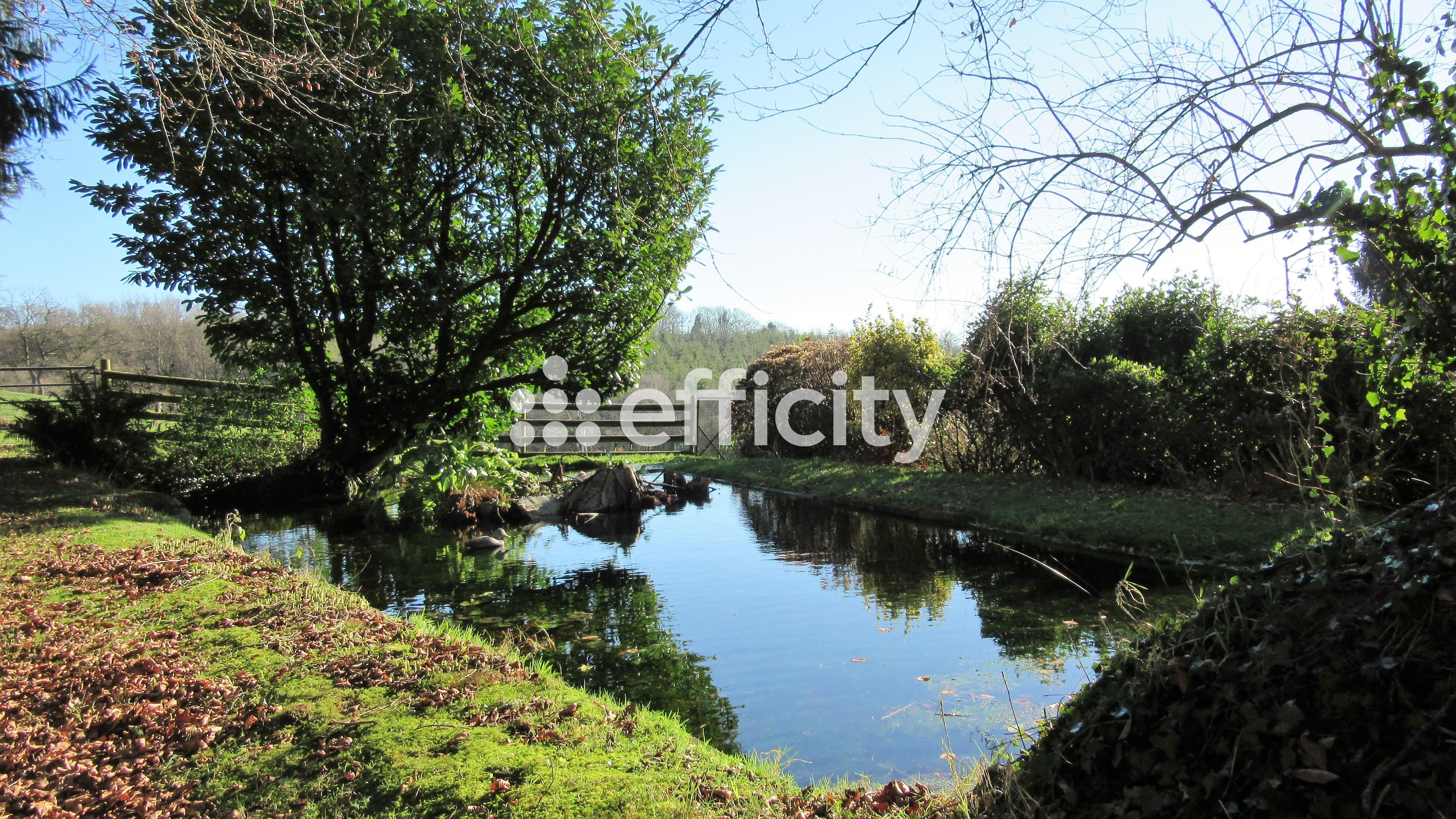 Achat immobilier Maison 11 pièces  290m2 à Noues de Sienne (14380) - Photo n°50