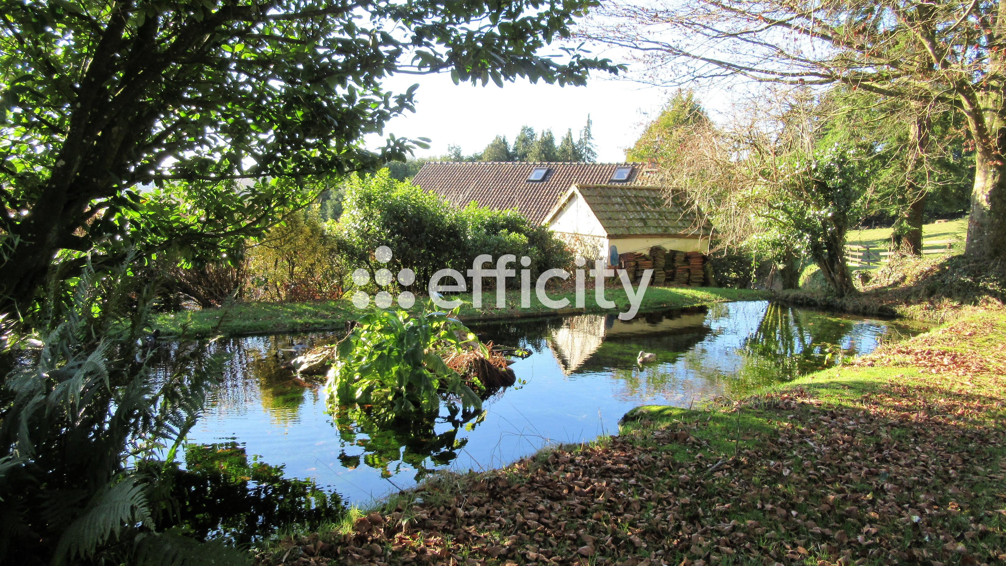 Achat immobilier Maison 11 pièces  290m2 à Noues de Sienne (14380) - Photo n°25