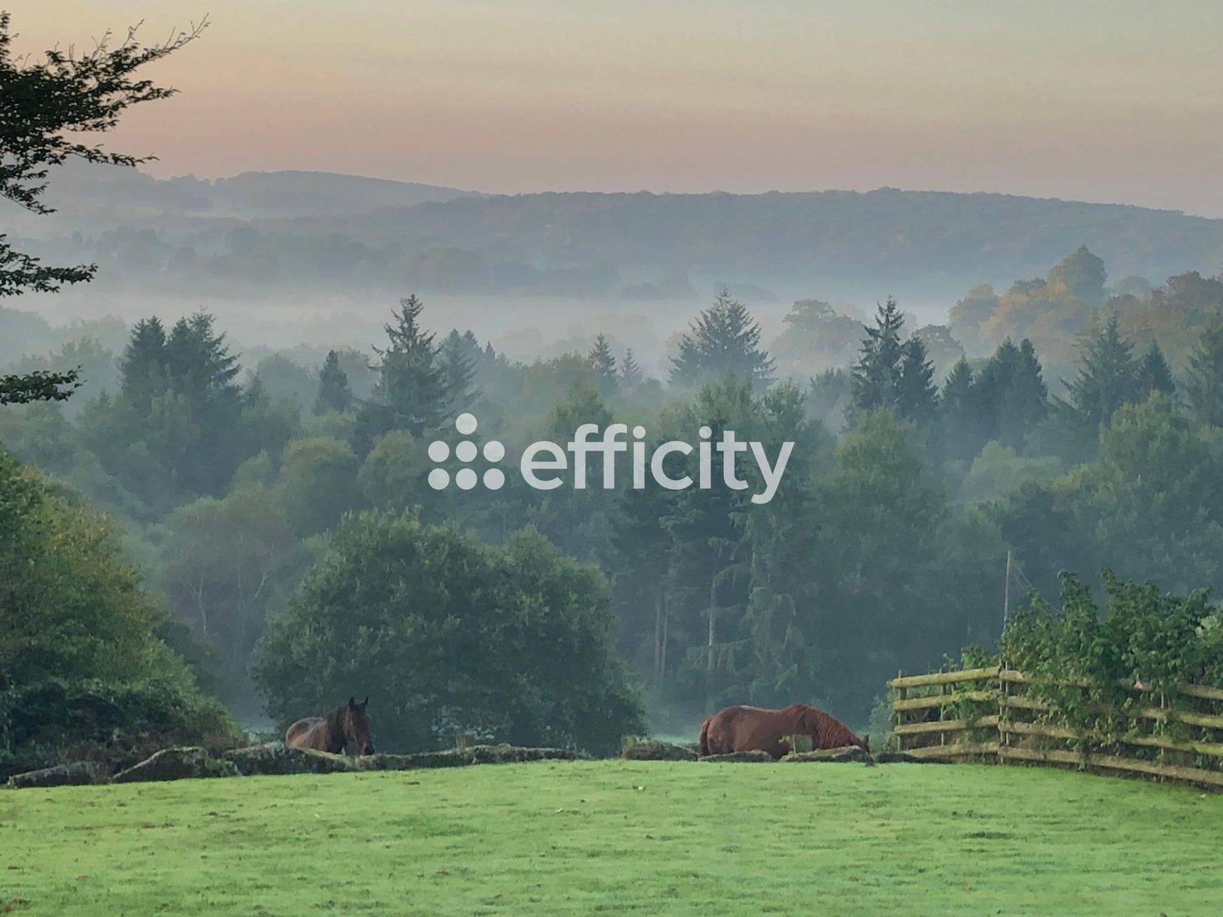 Achat immobilier Maison 11 pièces  290m2 à Noues de Sienne (14380) - Photo n°62