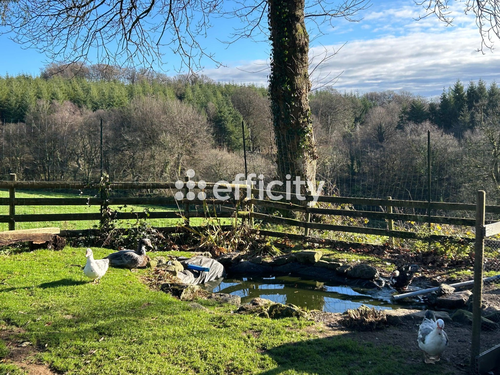 Achat immobilier Maison 11 pièces  290m2 à Noues de Sienne (14380) - Photo n°58