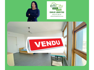 appartement 1 pièces - 28m2 à Lille (59800)