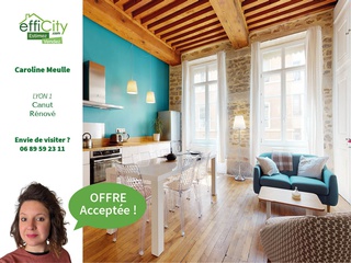 appartement 2 pièces - 40m2 à Lyon (69001)