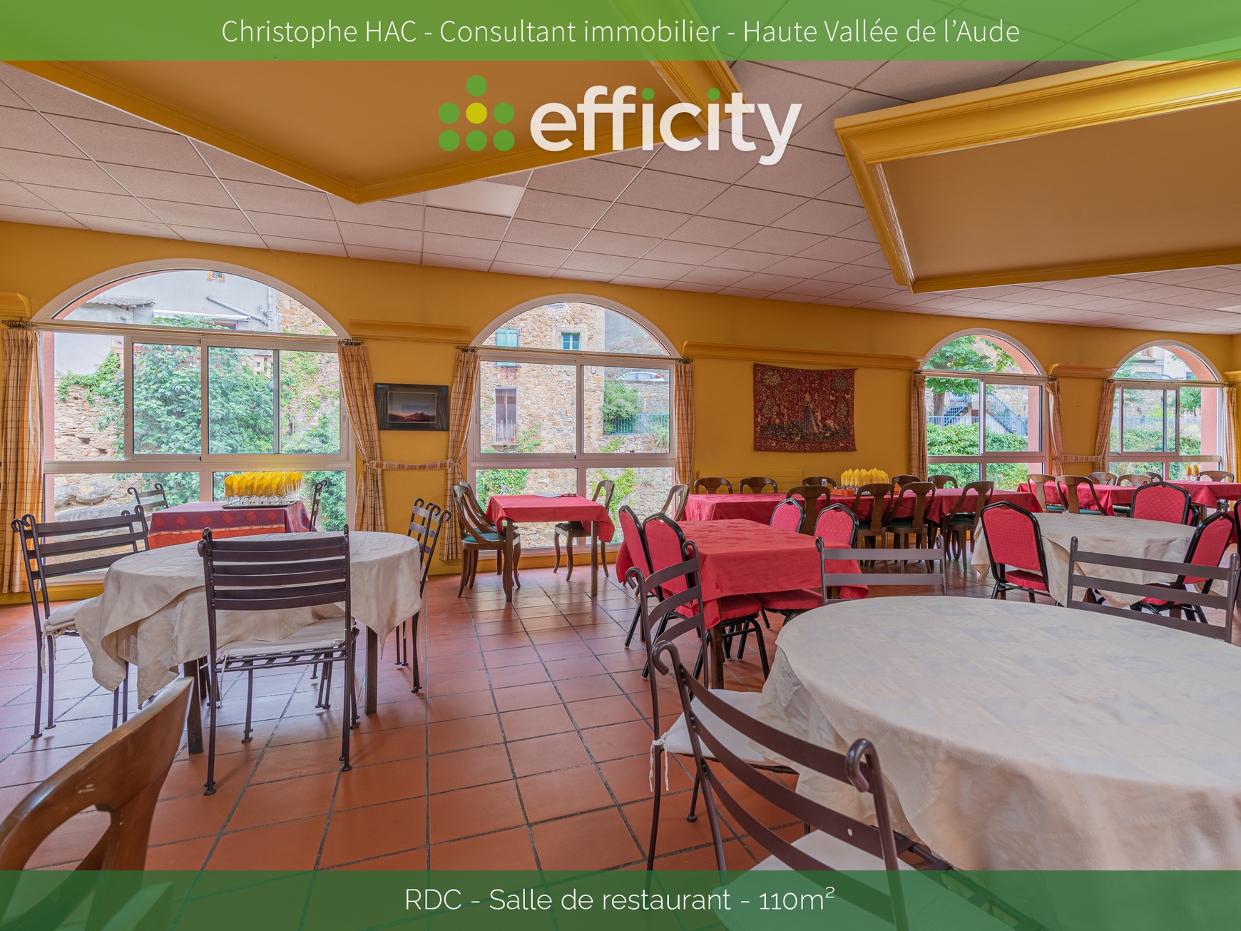 Achat immobilier Maison 13 pièces  670m2 à Rennes-les-Bains (11190) - Photo n°8