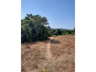 terrain  - 1608m2 à Pianottoli-Caldarello (20131)