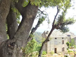 maison 4 pièces - 60m2 à San-Giovanni-di-Moriani (20230)