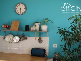 appartement 2 pièces - 52m2 à Villeurbanne (69100)
