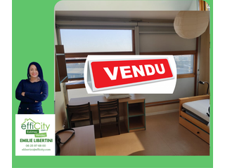 appartement 1 pièces - 25m2 à Lille (59800)