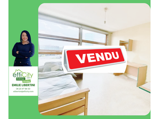 appartement 1 pièces - 22m2 à Lille (59800)