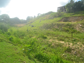 terrain  - 687m2 à Sainte-Anne (97180)
