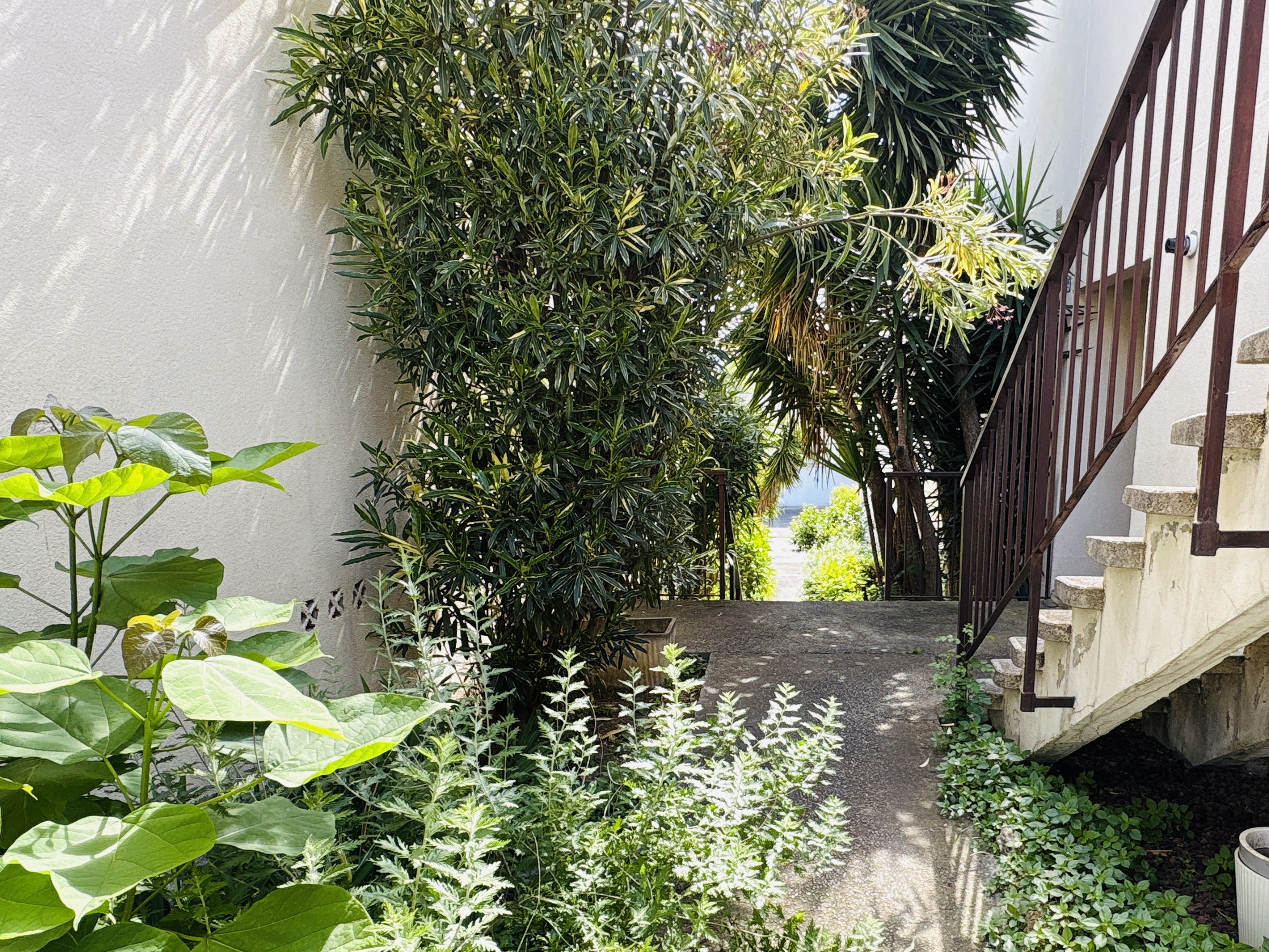 Achat immobilier Appartement 4 pièces  102m2 à Marseille (13011) - Photo n°4