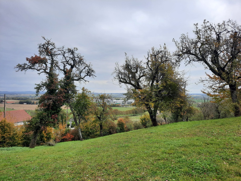 Achat immobilier Terrain   13000m2 à Langres (52200) - Photo n°4