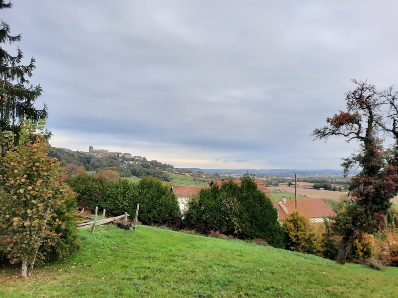 Achat immobilier Terrain   13000m2 à Langres (52200) - Photo n°5