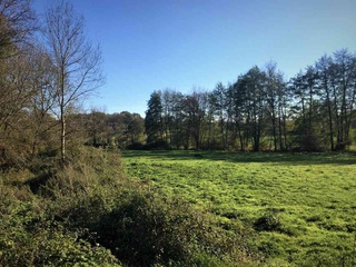terrain  - 10423m2 à Cerelles (37390)