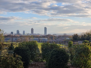 appartement 2 pièces - 40m2 à Caluire-et-Cuire (69300)