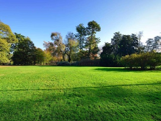 terrain  - 130000m2 à Lacanau (33680)