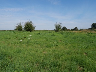 terrain  - 850m2 à La Drenne (60790)