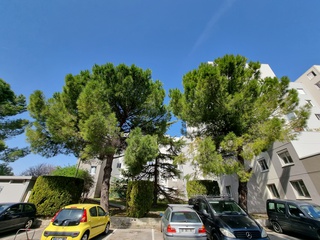 appartement 3 pièces - 63m2 à Montpellier (34070)