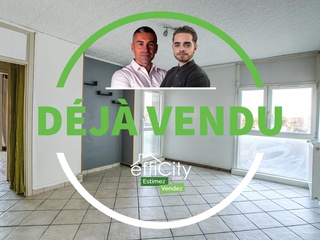 appartement 3 pièces - 51m2 à Saint-Fons (69190)
