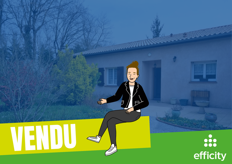 maison 7 pièces - 190m2 à Saint-Lys (31470)