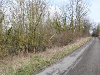terrain  - 800m2 à Sainte-Geneviève (60730)
