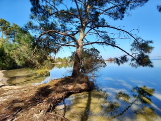 maison 4 pièces - 191m2 à Biscarrosse (40600)