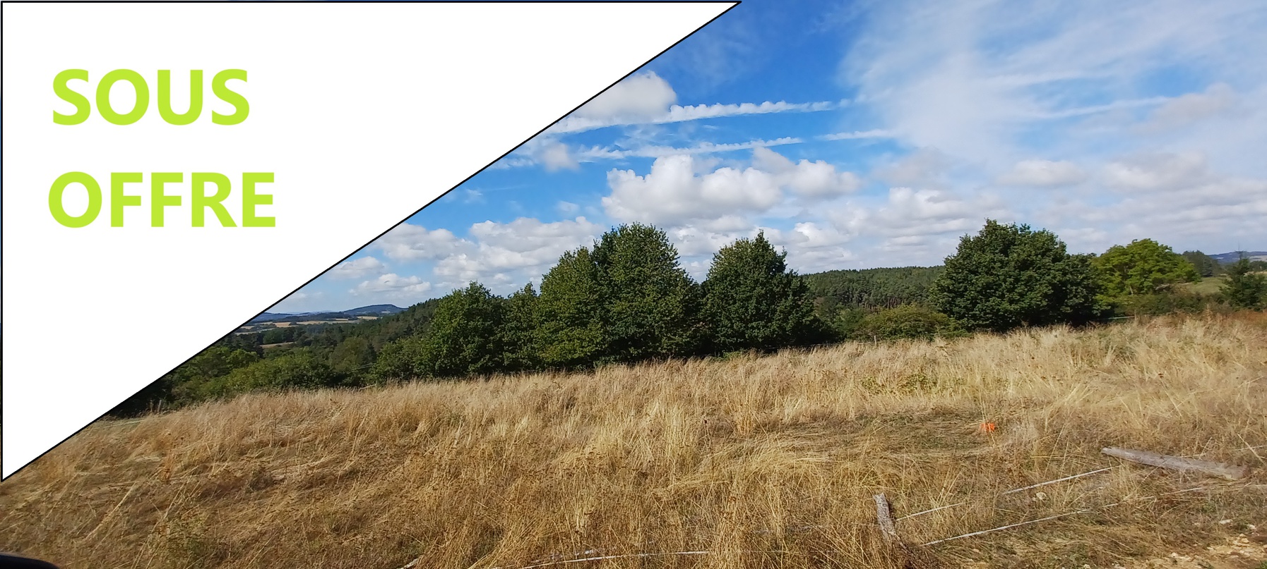 terrain  - 1247m2 à Ruynes-en-Margeride (15320)