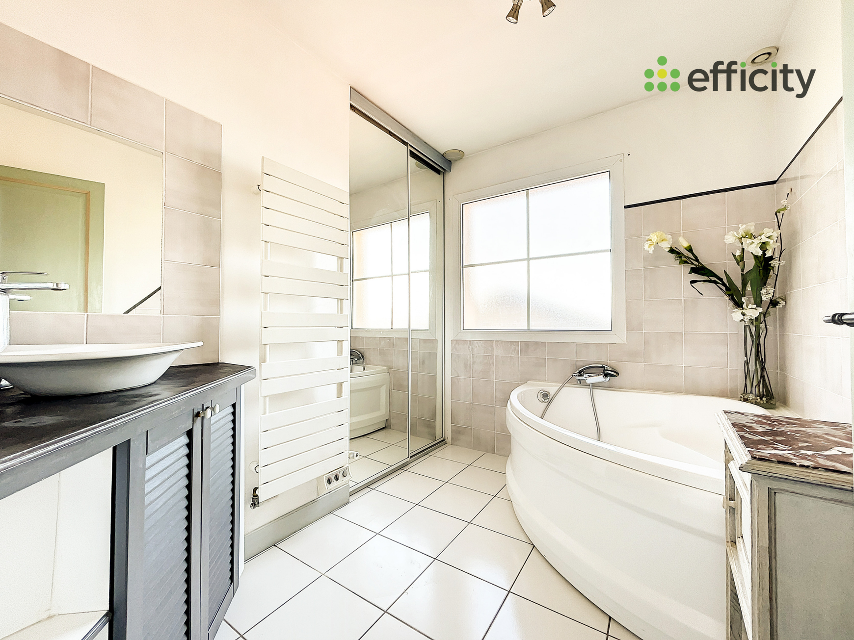 Achat immobilier Maison 10 pièces  280m2 à Frontonas (38290) - Photo n°13