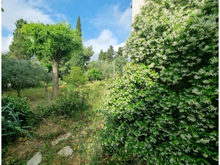 appartement 3 pièces - 69m2 à Montpellier (34000)