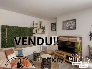 appartement 3 pièces - 52m2 à Chasse-sur-Rhône (38670)