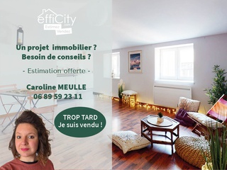 appartement 2 pièces - 50m2 à Lyon (69001)