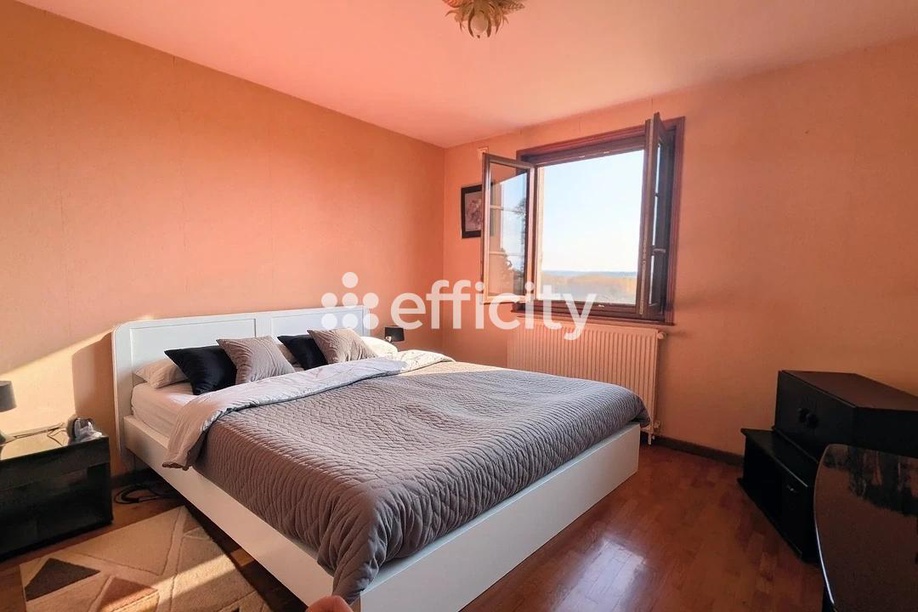 Achat immobilier Maison 8 pièces  179m2 à Saint-Jean-sur-Veyle (01290) - Photo n°11