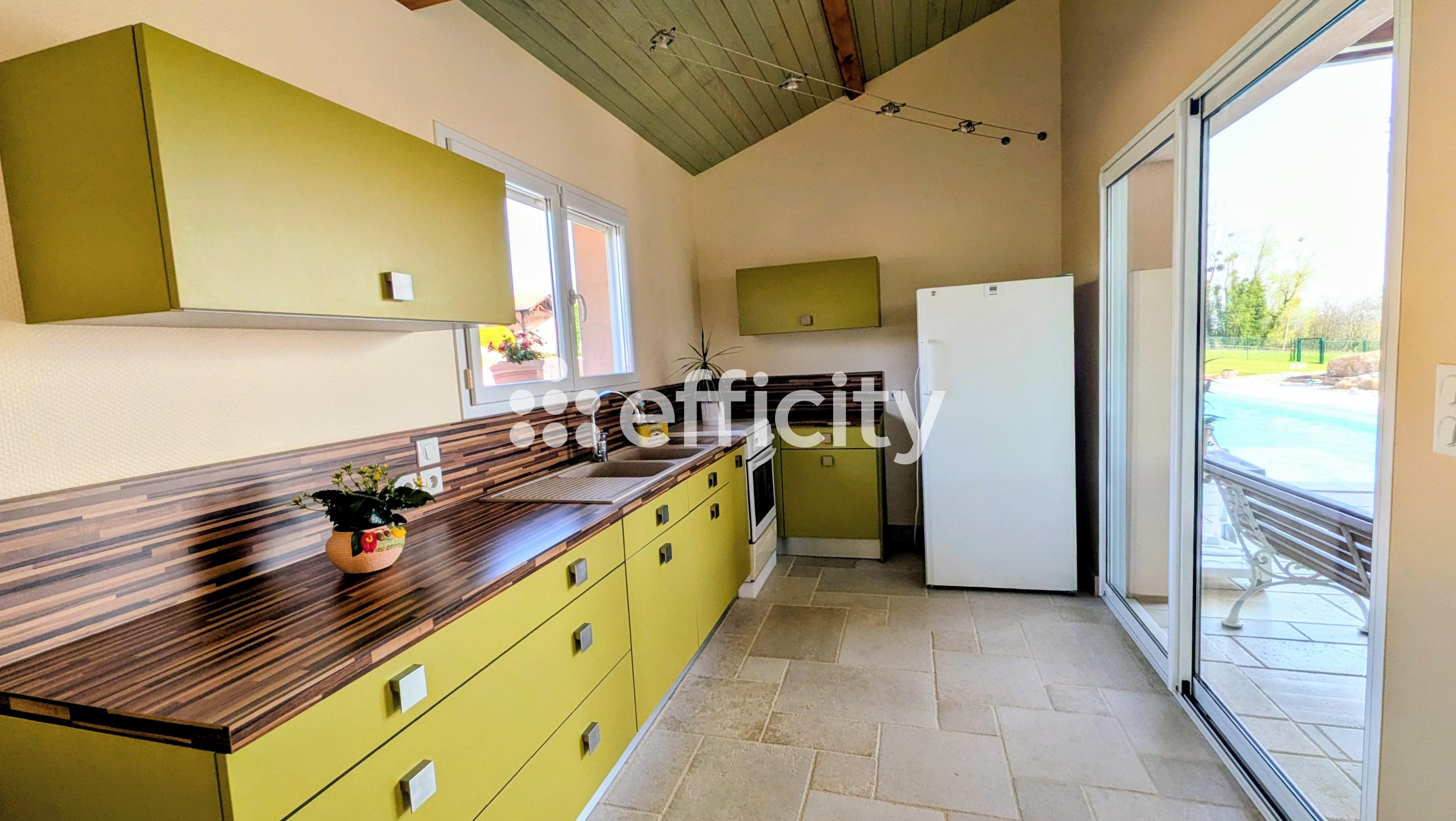 Achat immobilier Maison 8 pièces  179m2 à Saint-Jean-sur-Veyle (01290) - Photo n°13