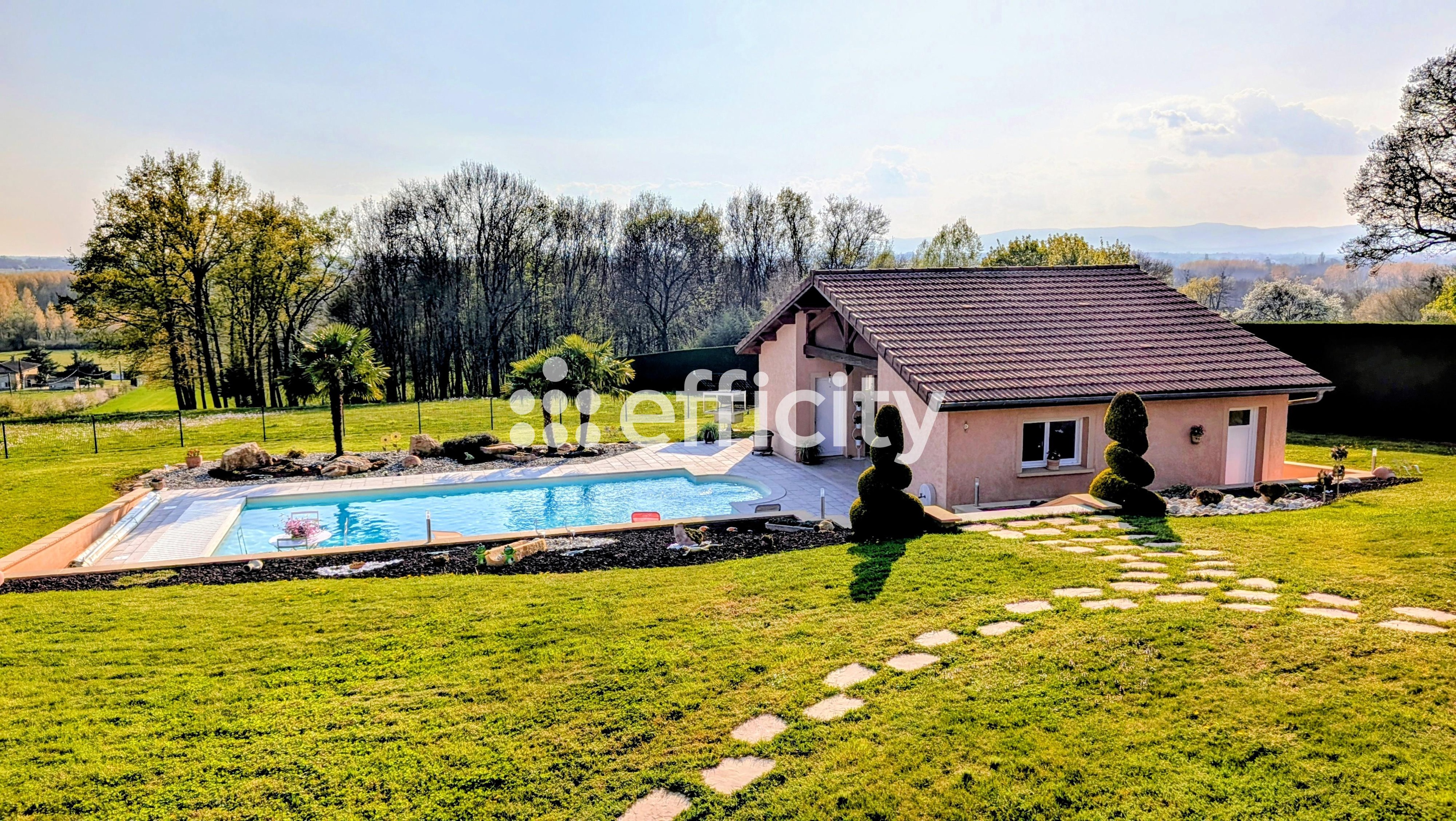 Achat immobilier Maison 8 pièces  179m2 à Saint-Jean-sur-Veyle (01290) - Photo n°5