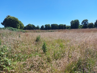 terrain  - 1400m2 à Ploumagoar (22970)