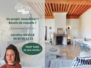 appartement 2 pièces - 50m2 à Lyon (69005)
