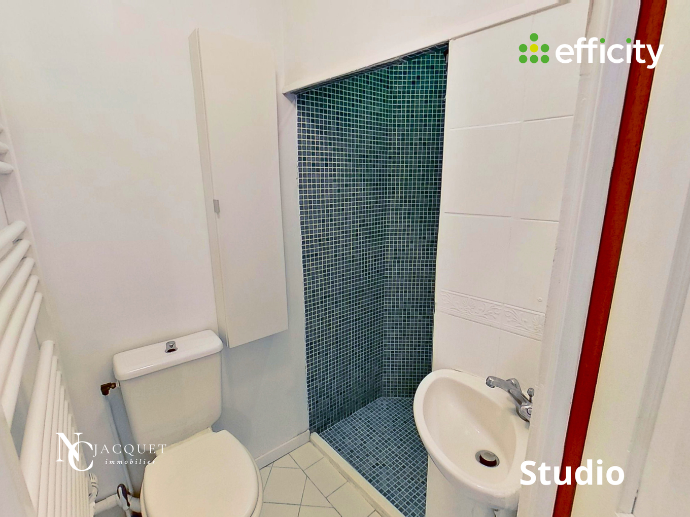 Achat immobilier Maison 5 pièces  120m2 à Miribel (01700) - Photo n°11