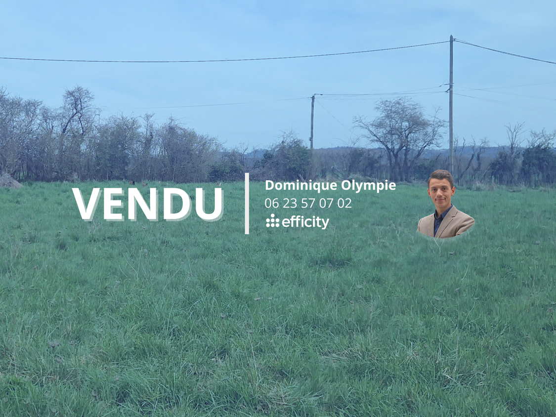 terrain  - 482m2 à Loué (72540)