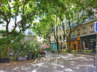 appartement 1 pièces - 30m2 à Lyon (69001)